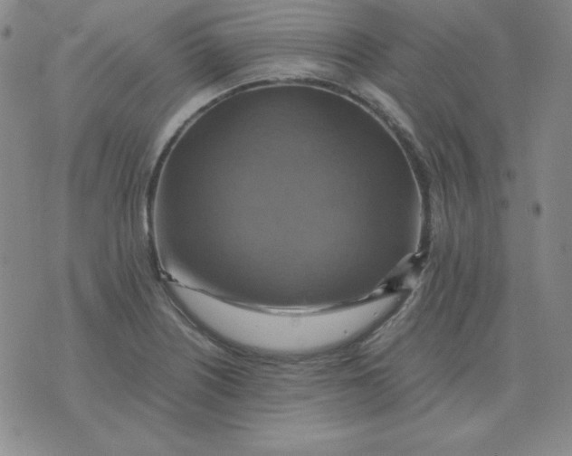 X0000075861226200610061929