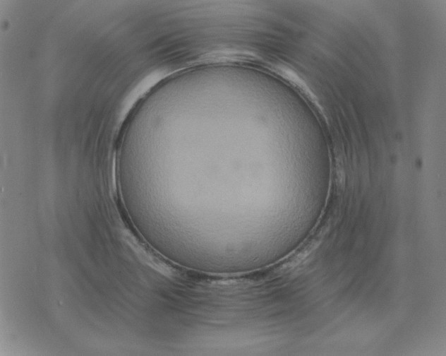 X0000075861227200610061929