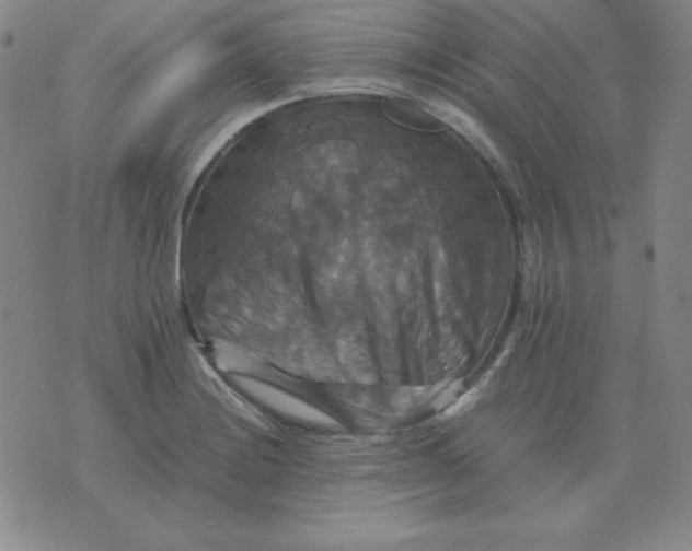 X0000075861228200610061929