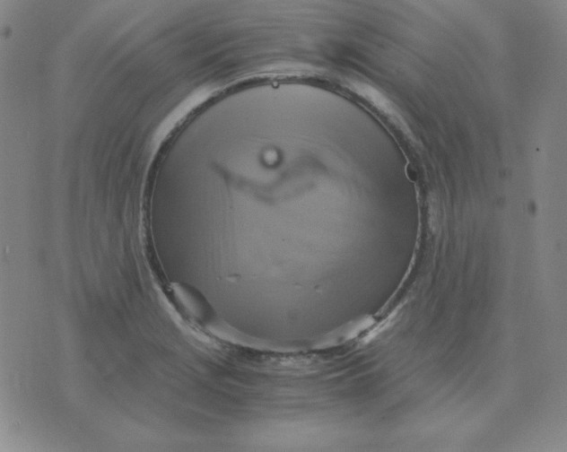 X0000075861229200610061929