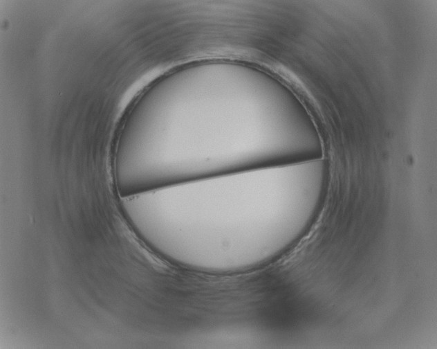 X0000075861230200610061929