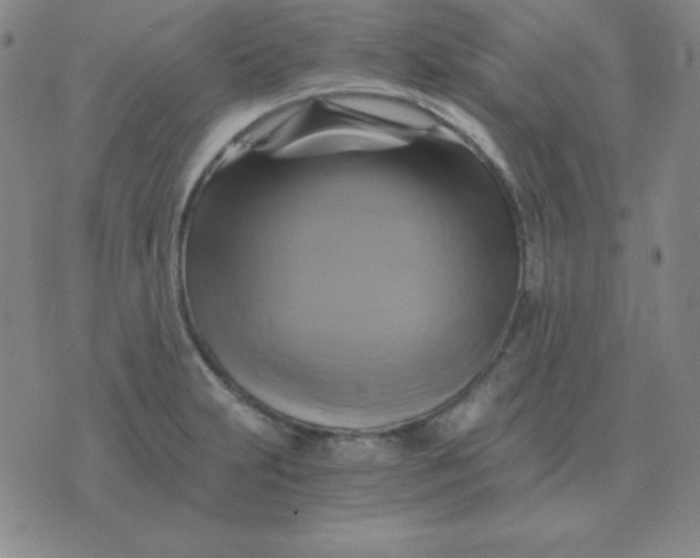 X0000075861231200610061929