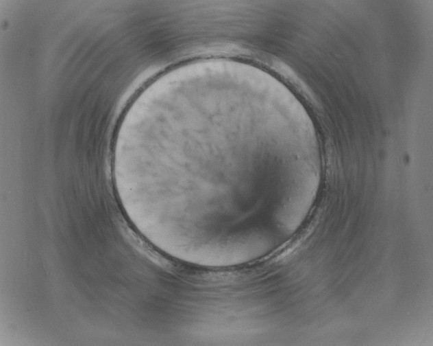 X0000075861232200610061929