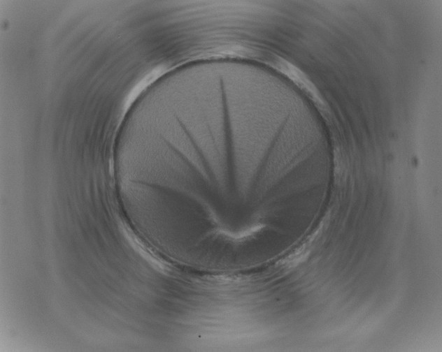 X0000075861234200610061929