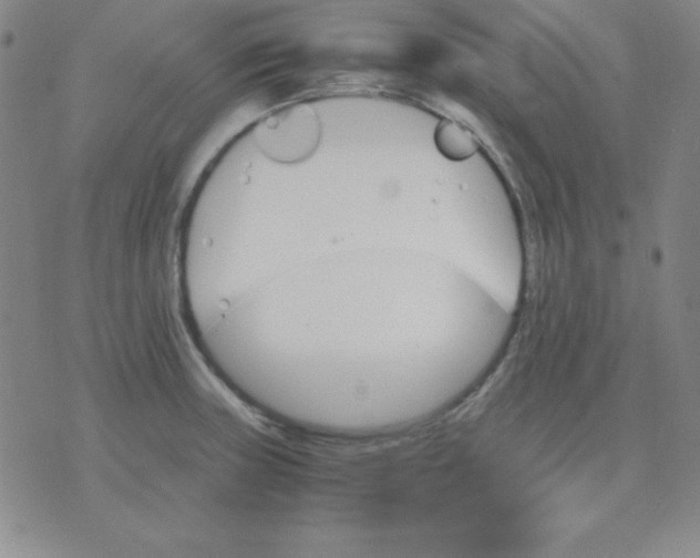 X0000075861235200610061929