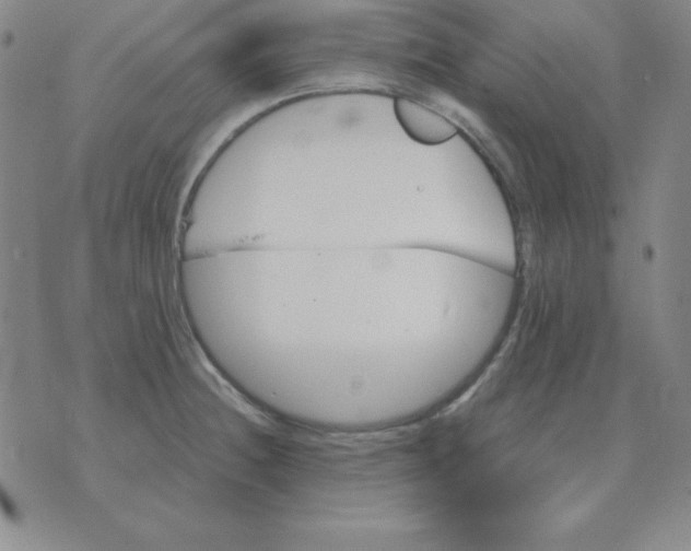 X0000075861236200610061929