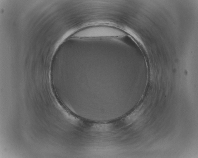 X0000075861237200610061929