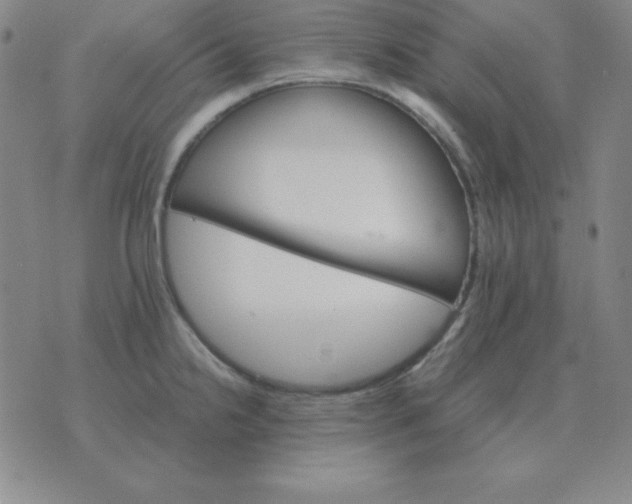 X0000075861238200610061929