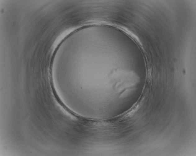 X0000075861239200610061929