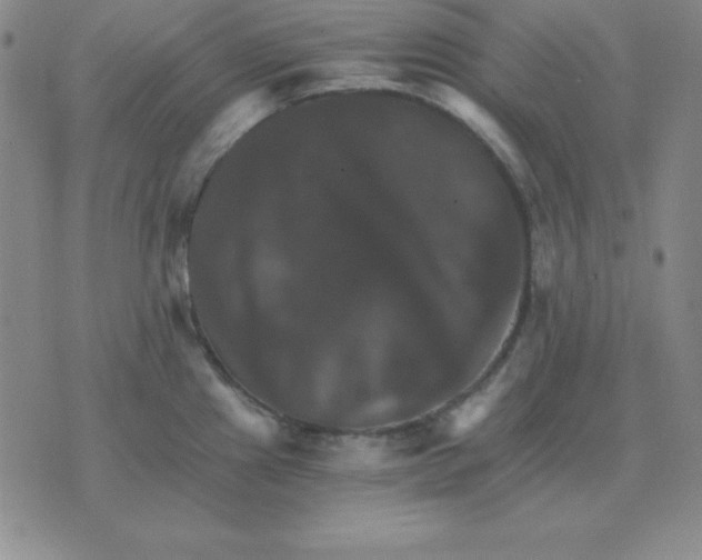 X0000075861241200610061929