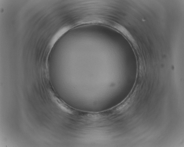 X0000075861242200610061929