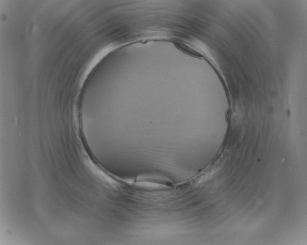 X0000075861243200610061929