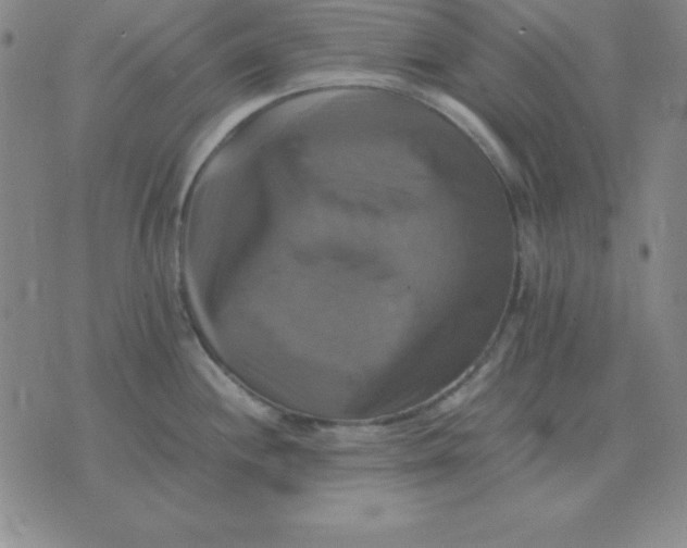 X0000075861244200610061929