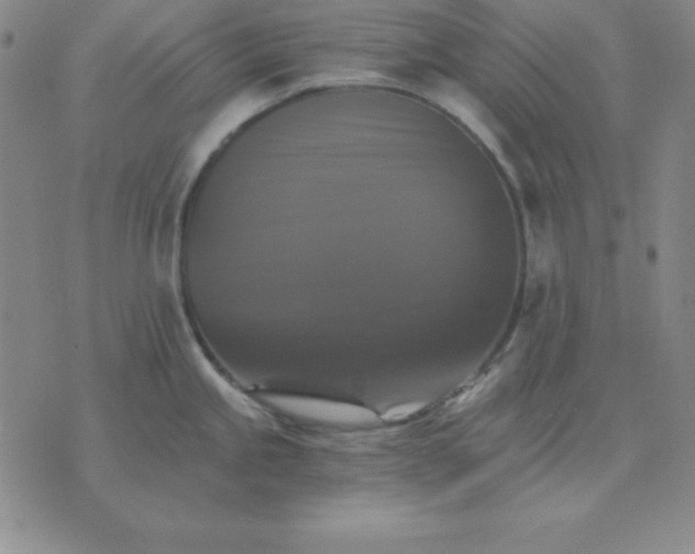 X0000075861245200610061929