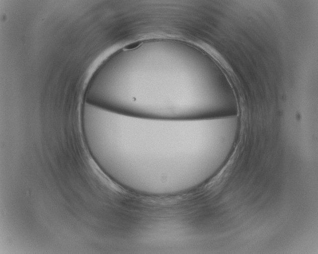 X0000075861246200610061929