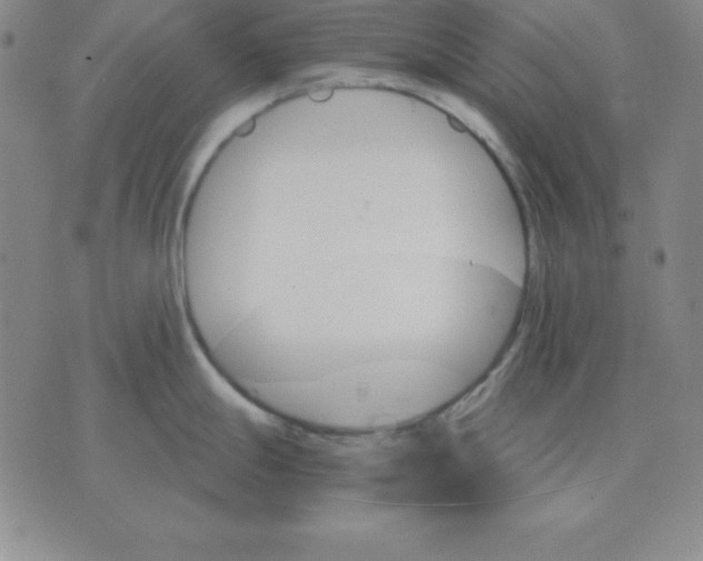 X0000075861247200610061929