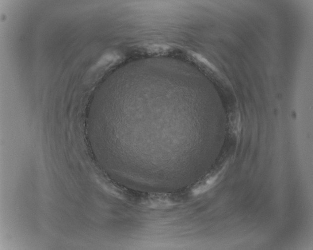 X0000075861249200610061928