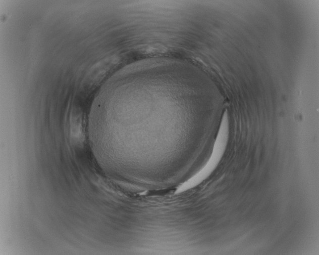 X0000075861250200610061928