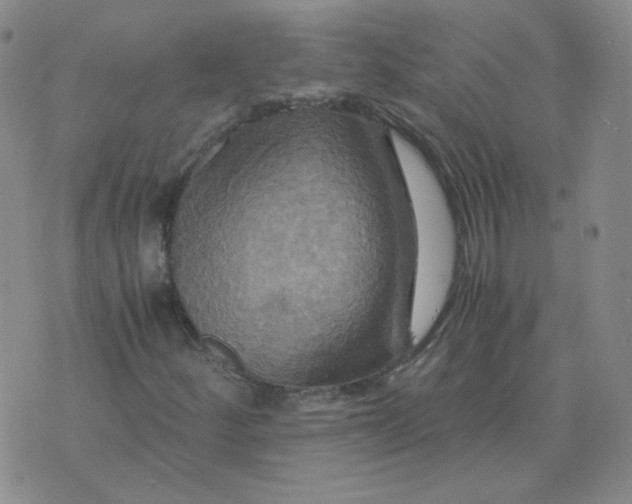 X0000075861252200610061928