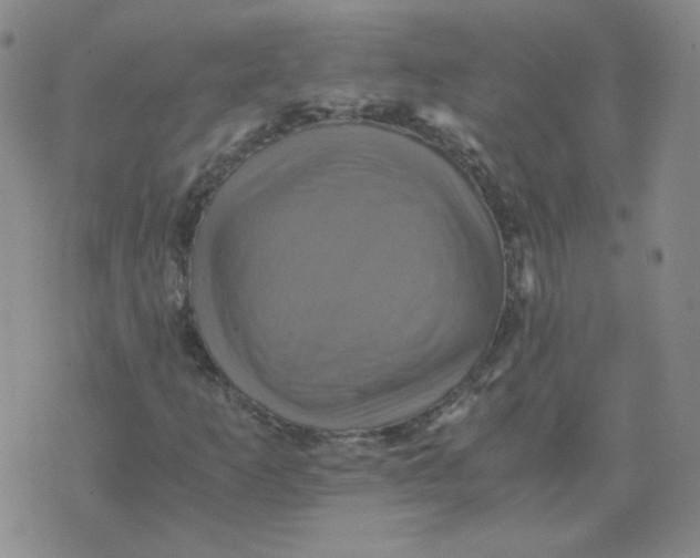 X0000075861253200610061928