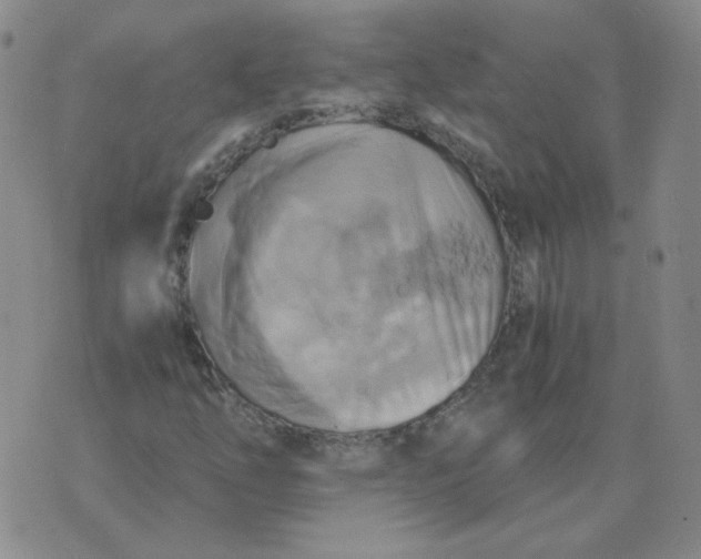 X0000075861254200610061928