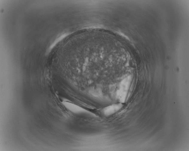 X0000075861255200610061928