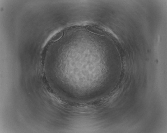 X0000075861256200610061928