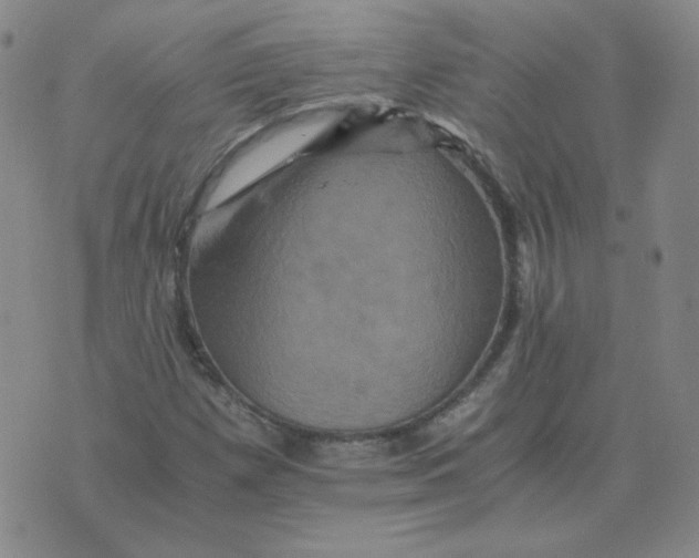 X0000075861257200610061928