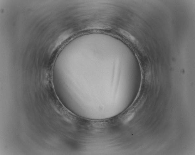 X0000075861258200610061928