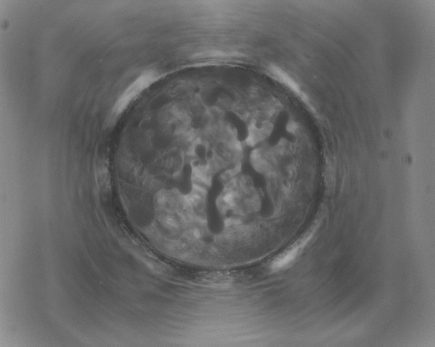 X0000075861259200610061928