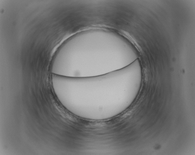 X0000075861260200610061928