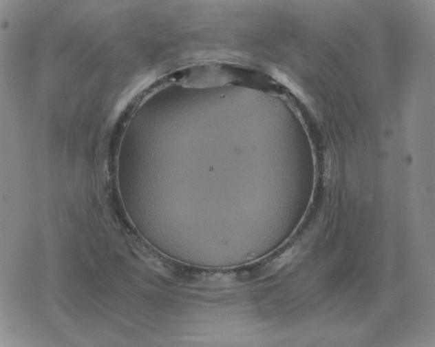 X0000075861261200610061928