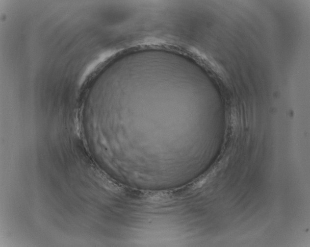 X0000075861262200610061928