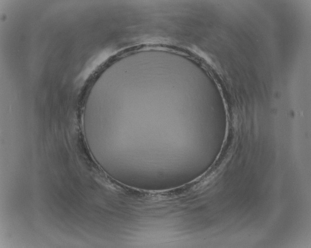 X0000075861263200610061928