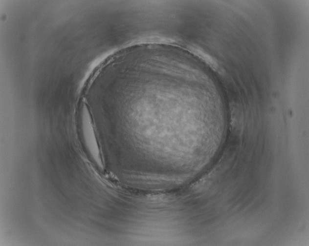 X0000075861264200610061928