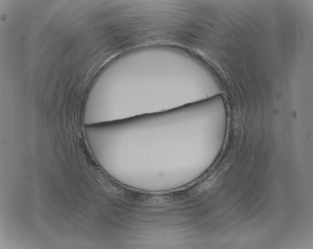 X0000075861265200610061928