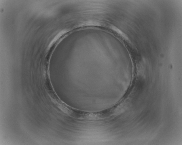 X0000075861266200610061928