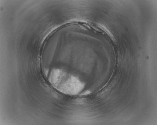 X0000075861268200610061928