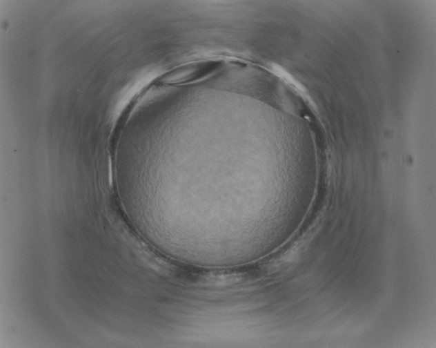 X0000075861269200610061928