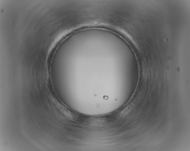 X0000075861270200610061928