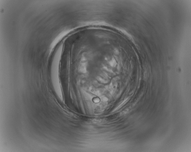 X0000075861271200610061928