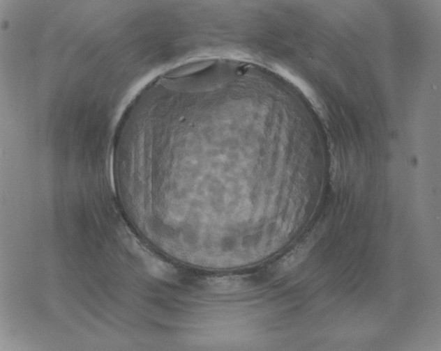 X0000075861272200610061928