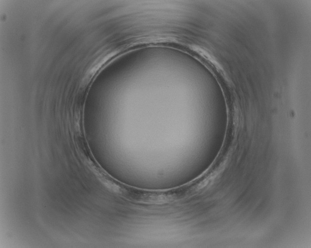 X0000075861273200610061928