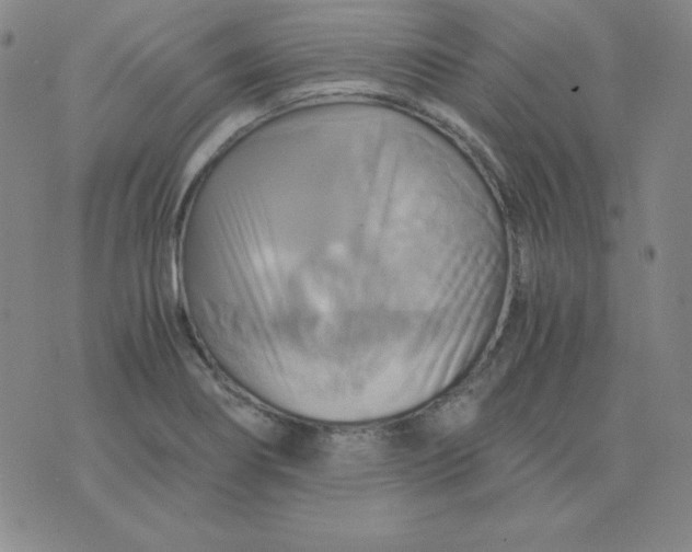 X0000075861274200610061928