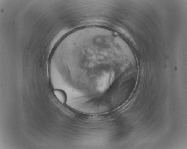 X0000075861275200610061928