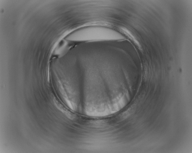 X0000075861276200610061928