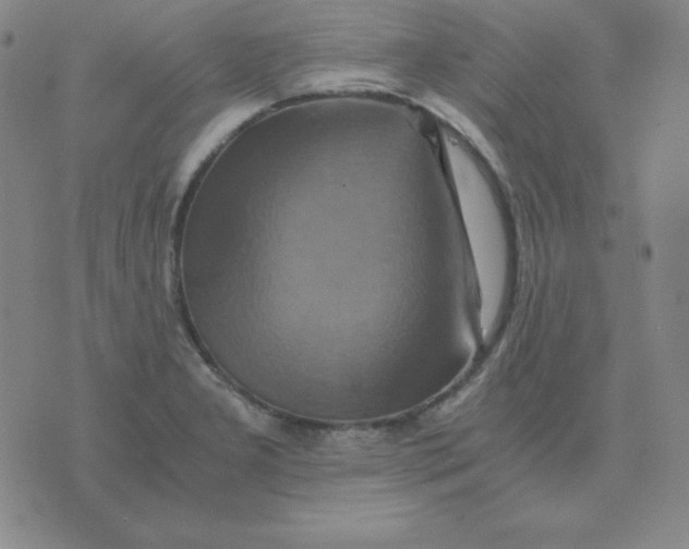 X0000075861277200610061928