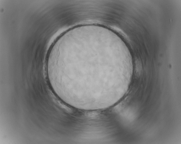 X0000075861278200610061928