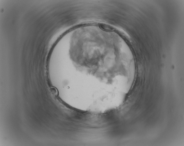 X0000075861279200610061928