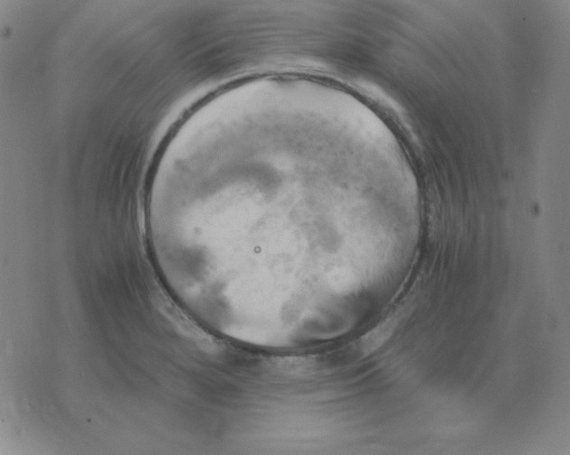 X0000075861280200610061928